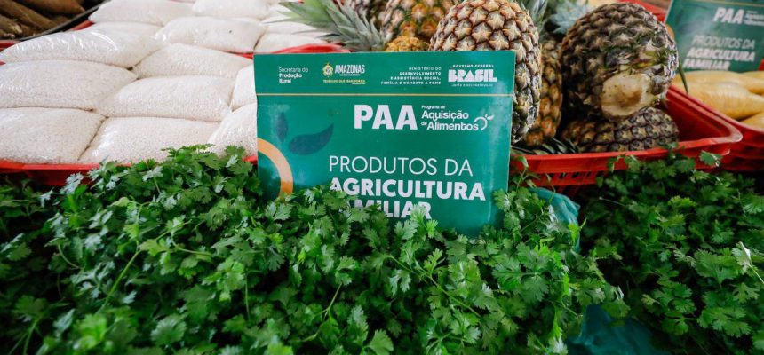 Durante uma série de entregas no município de Lábrea (a 702 quilômetros de Manaus), na quinta-feira (03), o governador Wilson Lima fortaleceu o setor primário da região, com investimentos que somam mais de R$640 mil.