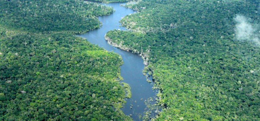 O Instituto de Proteção Ambiental do Amazonas (Ipaam), por meio do Centro de Monitoramento Ambiental e Áreas Protegidas (CMAAP), registrou 1.842 focos de calor em todo o estado no mês de agosto de 2025, o menor número para o período desde 2011, quando foram registrados 1.543 focos. Ao mesmo tempo, o desmatamento também apresentou redução significativa: os alertas caíram de 1.862 para 702, e a área total desmatada recuou de 52.281 hectares para 15.790 hectares.
